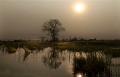 215 - FIN DE JOURNEE - VANDERBEKE LUCIEN - belgium